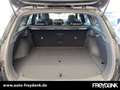 Hyundai i30 FL Kombi (MY25) 1.5 T-GDI (140PS) 48V 7-DCT 2WD N Schwarz - thumbnail 9