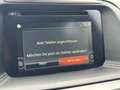Mazda CX-5 CX-5 CD175 AWD Revolution Top Autom. AHK Service Grau - thumbnail 16