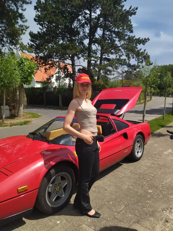 Ferrari 328 GTS, foto 5