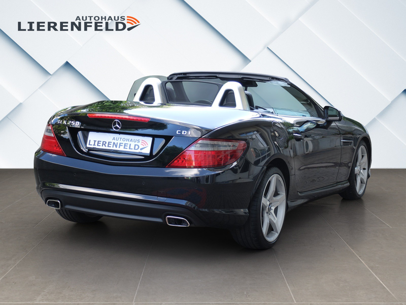 Mercedes-Benz SLK 250 CDI AMG Line Automatik — photo 4