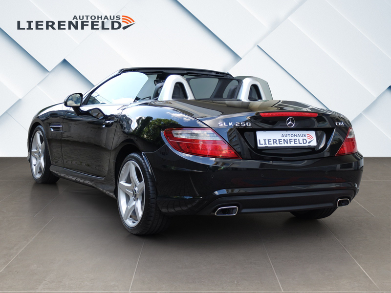 Mercedes-Benz SLK 250 CDI AMG Line Automatik — photo 5