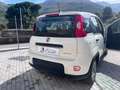 Fiat Panda Panda 1.0 firefly hybrid s Blanc - thumbnail 6
