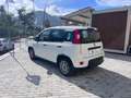 Fiat Panda Panda 1.0 firefly hybrid s Blanc - thumbnail 2