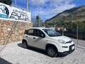 Fiat Panda Panda 1.0 firefly hybrid s Blanc - thumbnail 4
