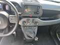 Fiat Panda Panda 1.0 firefly hybrid s Blanc - thumbnail 15