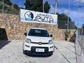 Fiat Panda Panda 1.0 firefly hybrid s Blanc - thumbnail 1