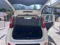 Fiat Panda Panda 1.0 firefly hybrid s Blanc - thumbnail 9