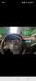 Volkswagen Sharan 7-Sitzer Schwarz - thumbnail 16