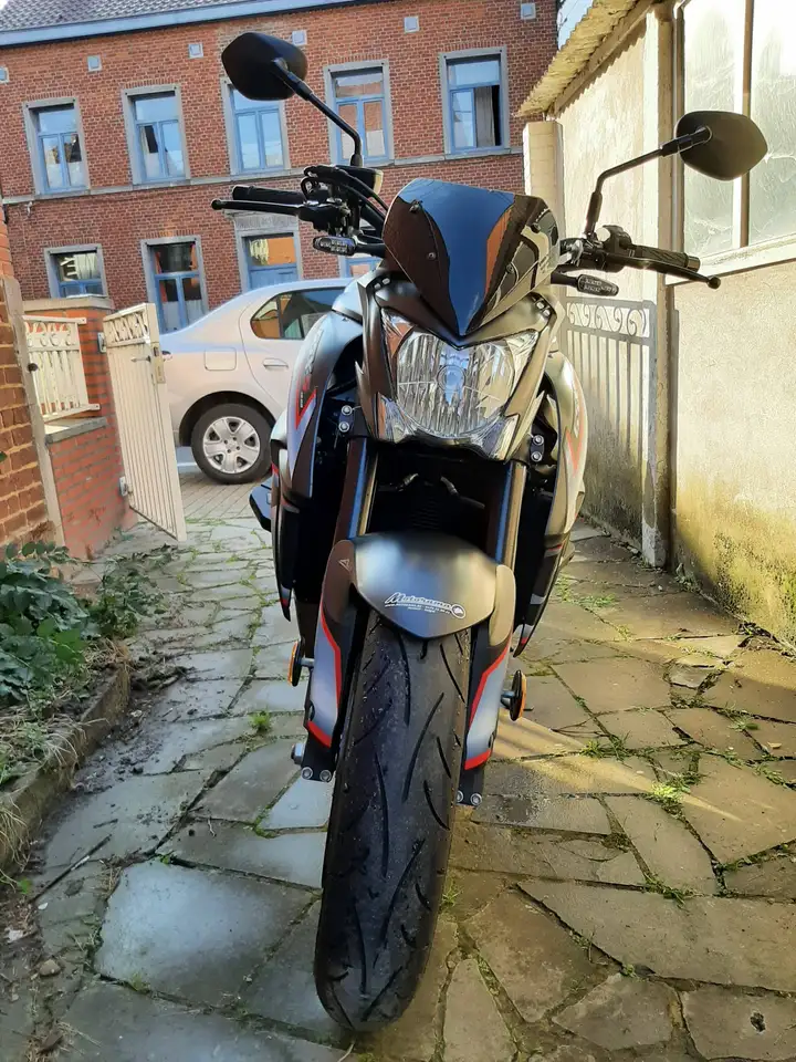 Suzuki GSX-S 1000