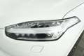 Volvo XC90 XC90 B5 AWD Geartronic 7 posti Business Plus/Momen Blanc - thumbnail 13