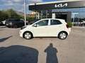 Kia Picanto 1.0 12V 5 porte Active Gris - thumbnail 4
