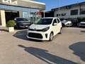 Kia Picanto 1.0 12V 5 porte Active Gris - thumbnail 3