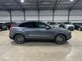 Porsche Cayenne Cayenne S E-Hybrid Platinum Edition Gris - thumbnail 7