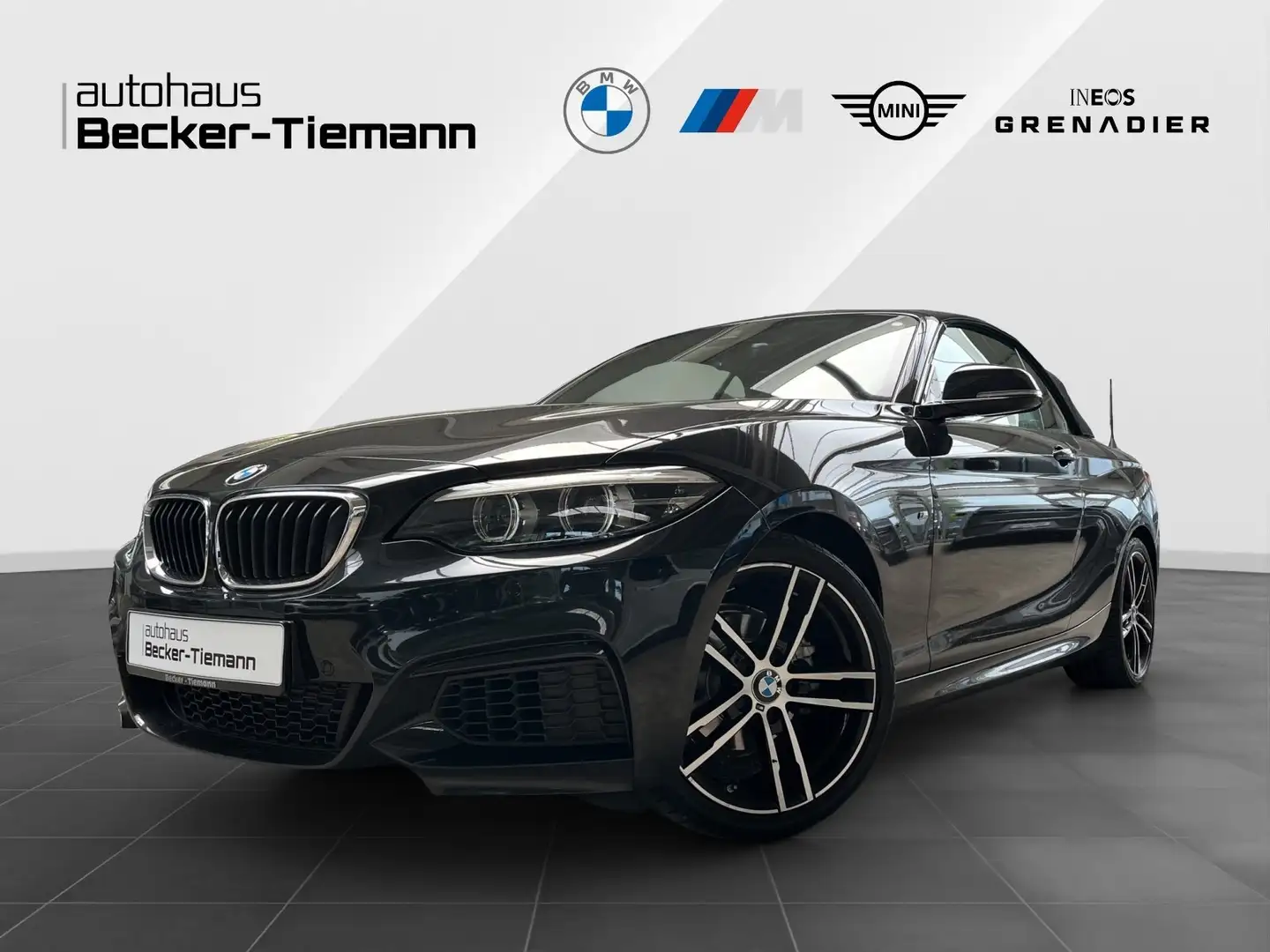 BMW 218 i Cabrio M Sport/Navi/HIFI/Leder/18'' Zwart - 1