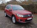 Volkswagen Tiguan 2,0TSI  NAVI PANORAMA DACH KAMERA ERST 69TKM Rot - thumbnail 2