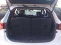 Hyundai SANTA FE 2.2CRDi 4x4 Tecno 7s Blanco - thumbnail 16