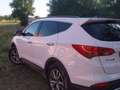 Hyundai SANTA FE 2.2CRDi 4x4 Tecno 7s Blanco - thumbnail 7
