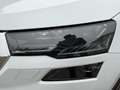 Skoda Karoq 2.0 TDI DSG 4x4 AMBITION LED+AHK+ACC+2xSHZ Weiß - thumbnail 15