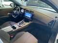 DS Automobiles DS 7 Crossback DS 7 Crossback BlueHDi 130 aut. Business Bianco - thumbnail 20