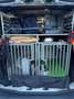 Ford Transit Custom Transit Custom Kombi 2,0 EcoBlue L1H1 320 FWD Trend Trend Weiß - thumbnail 7