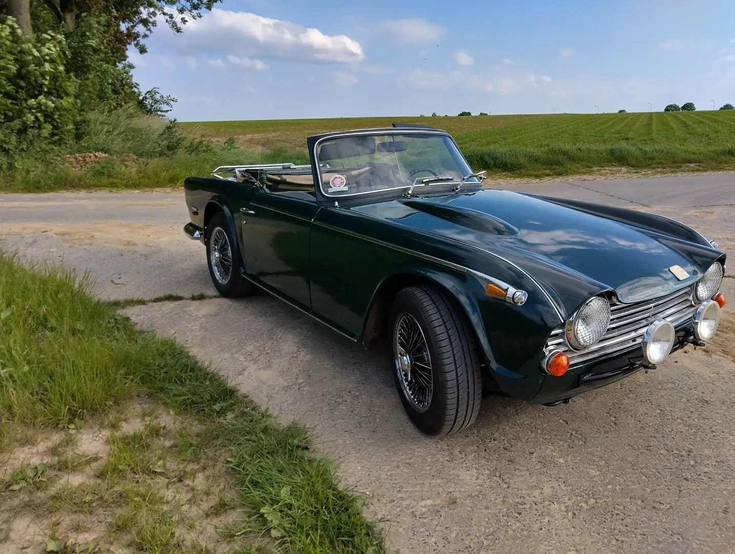 Triumph TR5 TR250 overdrive Grün - 2