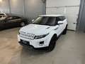 Land Rover Range Rover Evoque Prestige 2,2 SD4*Anhänger*Navi*Kamera*keyless*S... Blanc - thumbnail 4
