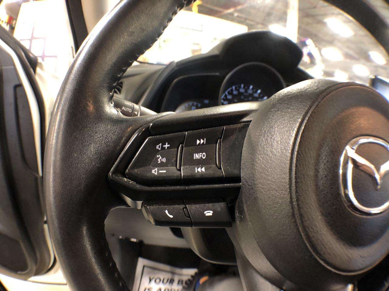 Image 19