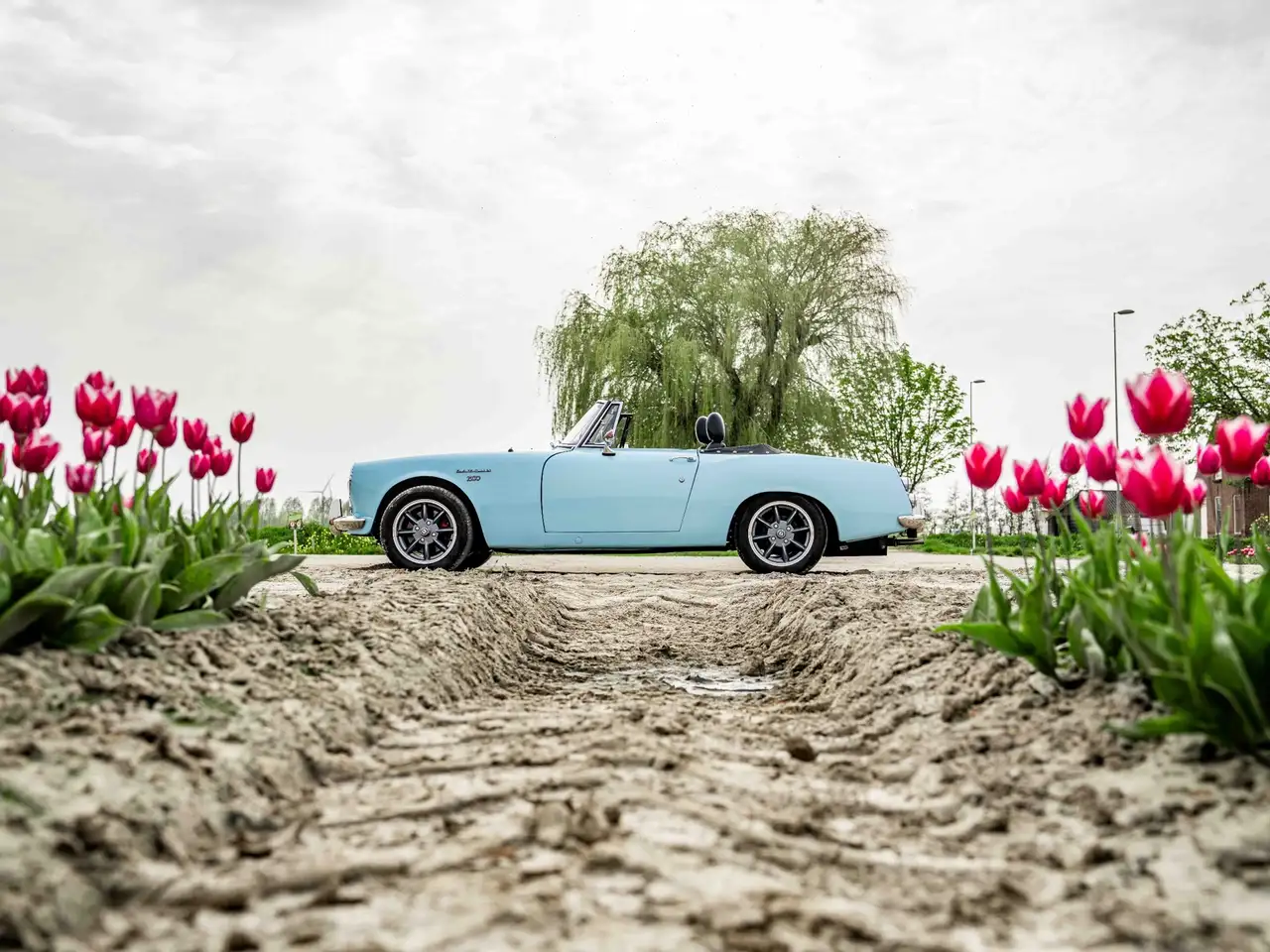 DATSUN ROADSTER, foto 8