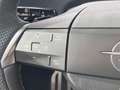 Opel Grandland Electric 73kWh AWD GS!VOLL! Blau - thumbnail 9