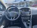 Ford Focus 1.5 Ecoboost Titanium 150pk Trekhaak | Cruise cont Gris - thumbnail 12