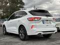 Ford Kuga 1.5 EcoBlue ST-Line FWD 120 Blanc - thumbnail 4
