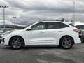 Ford Kuga 1.5 EcoBlue ST-Line FWD 120 Blanc - thumbnail 3