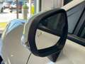 Ford Puma 1.0 EcoBoost 125cv ST-LINE X Beige - thumbnail 12
