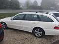 Mercedes-Benz E 200 Kompressor T -Elegance Aut. Elegance - thumbnail 4