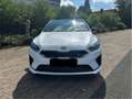 Kia Ceed / cee'd GT Weiß - thumbnail 2
