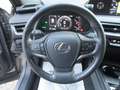Lexus UX 250h UX Hybrid Business *GARANZIA 10 ANNI LEXUS Grigio - thumbnail 14