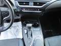 Lexus UX 250h UX Hybrid Business *GARANZIA 10 ANNI LEXUS Grigio - thumbnail 13