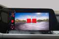 Volkswagen Golf VIII Life 1.0 TSI DSG Gris - thumbnail 33