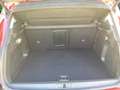 Opel Grandland Business Elegance Plug-in-Hybrid 1.6 Turbo Hybrid Rot - thumbnail 5