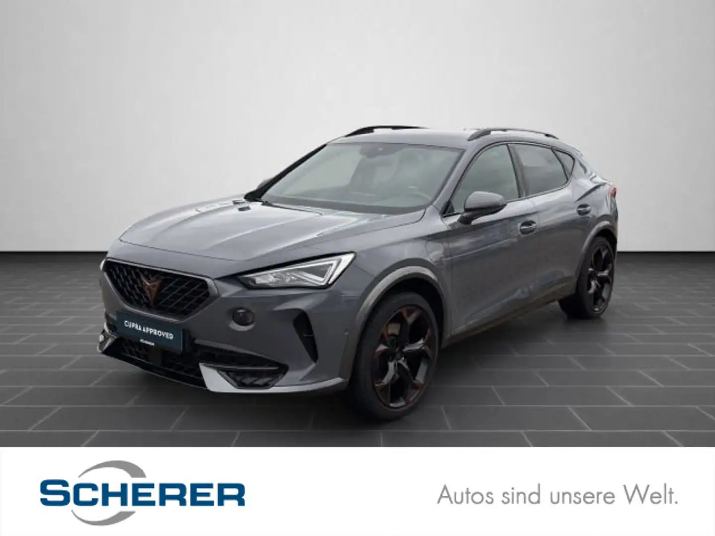 CUPRA Formentor VZ FORMEN1,4eHYBF VZ 5T180 ML9A6 Grau - 1