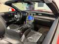 Ford Mustang GT Convertible, CABRIO, ACC, PERFORMANCE PAKET,SZH Rot - thumbnail 21