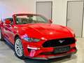 Ford Mustang GT Convertible, CABRIO, ACC, PERFORMANCE PAKET,SZH Rot - thumbnail 8