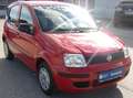 Fiat Panda Easy Rot - thumbnail 2