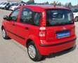 Fiat Panda Easy Rot - thumbnail 4