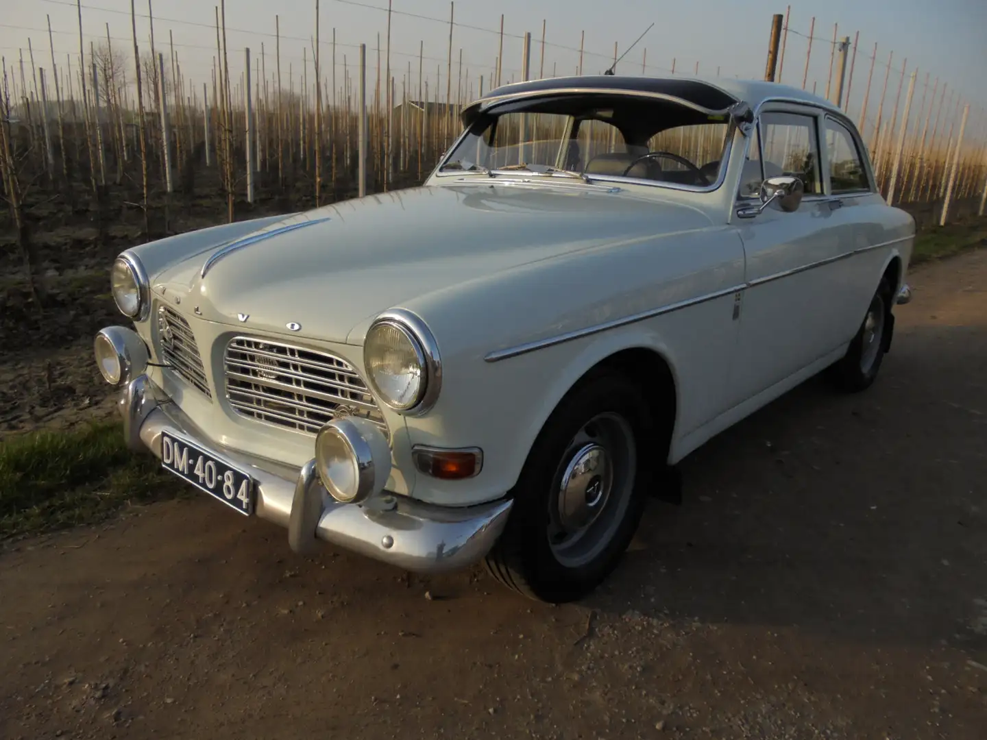 Volvo Amazon 131 **LPG**MOTOR+BAK REVISIE**STUUR+REMBEKRACHTIGI Blau - 2