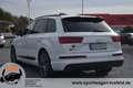 Audi SQ7 4.0 TDI *Virtual*Bose*Pano*HUD*7.Sitzer*Matrix* Blanc - thumbnail 5