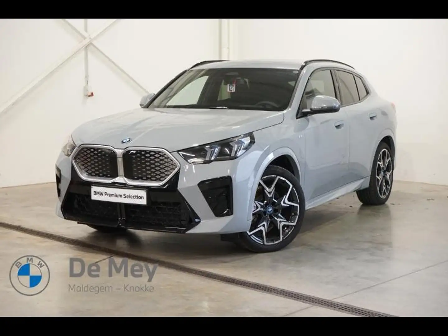 BMW iX2 iX2 xDrive30 Grijs - 1