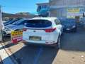 Kia Sportage Sportage IV 2016 1.7 crdi GT Line AUTOMATICO Blanc - thumbnail 6