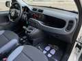 Fiat Panda 0.9 TwinAir Turbo 85CV S&S 4x4 WILD MY20 Bianco - thumbnail 9