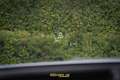 Mercedes-Benz GLE 350 de Coupe 4Matic AMG/Pano/Trekh/Burmester/ACC/AIR Argent - thumbnail 27
